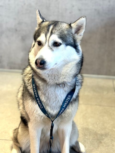 Foto von Ayla Pe­tri