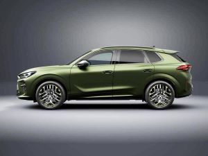 Cupra Terramar VZ Tribe Edition